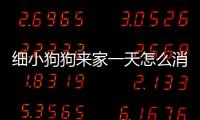 細小狗狗來家一天怎么消毒好？細小狗狗在家怎么治療