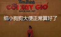 細(xì)小狗狗大便正常算好了嗎？細(xì)小狗狗大便正常嗎