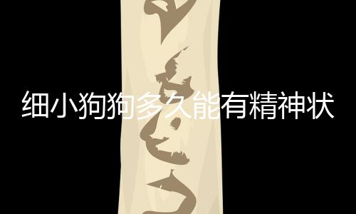 細小狗狗多久能有精神狀態  細小狗狗多久能有精神恢復