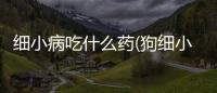 細小病吃什么藥(狗細小病吃什么藥能治好)