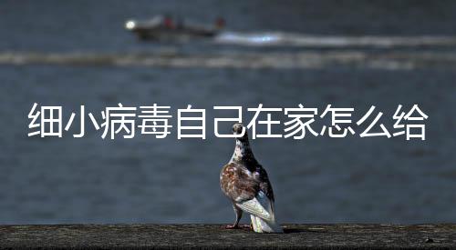 細小病毒自己在家怎么給狗狗治療啊？ 狗狗得了細小怎么在家治療