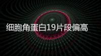 細胞角蛋白19片段偏高其他正常（細胞角蛋白19 片段偏高是什么原因）