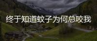 終于知道蚊子為何總咬我……原來它偏愛這幾類人！