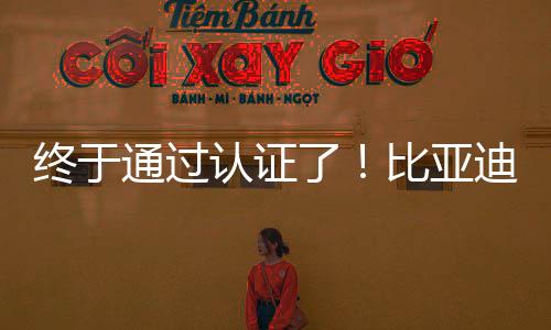 終于通過認證了！比亞迪將為美國加州供應 1.5 億個N95口罩