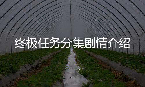 終極任務分集劇情介紹