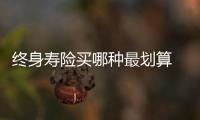 終身壽險買哪種最劃算 終身壽險適合哪些人買