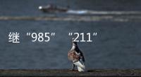 繼“985”“211”之后，“101計劃”將帶來什么？