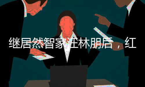 繼居然智家汪林朋后，紅星美凱龍車建興也被調查留置！