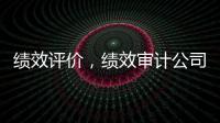 績效評價，績效審計公司業(yè)務居多