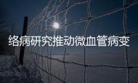 絡病研究推動微血管病變防治，創新成果賦能慢病管理