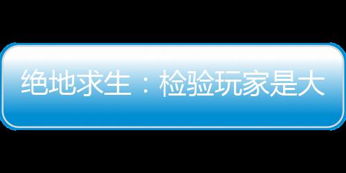 絕地求生：檢驗玩家是大神還是菜鳥的方法