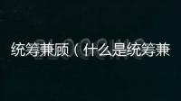 統(tǒng)籌兼顧（什么是統(tǒng)籌兼顧）