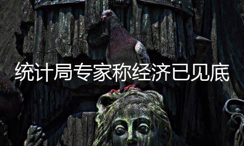 統(tǒng)計(jì)局專家稱經(jīng)濟(jì)已見底回升