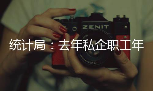 統計局：去年私企職工年收入比非私企少一萬六