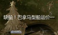 缺船！巴拿馬型船運(yùn)價(jià)一周狂漲12%
