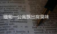 緬甸一公寓飄出腐臭味 住數(shù)百名華人 地震后救援受阻