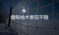緬甸柚木表現(xiàn)平穩(wěn)