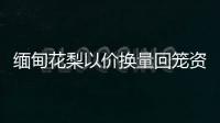 緬甸花梨以價換量回籠資金迫切