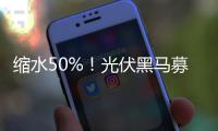 縮水50%！光伏黑馬募資生變