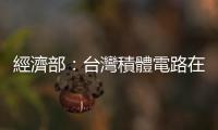 經濟部：臺灣積體電路在日本進口市占率逼近6成 居各國之冠