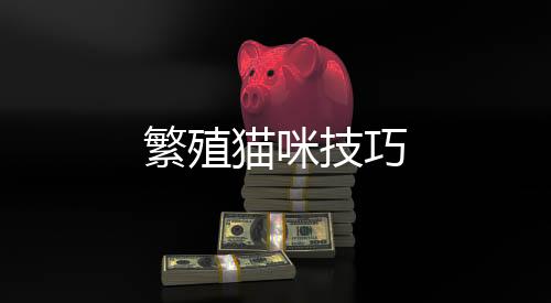 繁殖貓咪技巧