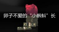 卵子不愛的“小蝌蚪”長這樣，精子也愛拼顏值，應該怎么做