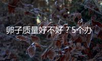 卵子質量好不好？5個辦法就能知道