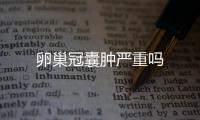 卵巢冠囊腫嚴(yán)重嗎