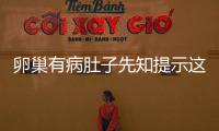 卵巢有病肚子先知提示這5個痕跡暗示你卵巢呈現病變