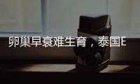 卵巢早衰難生育，泰國EK國際醫院復合促排助其圓夢！