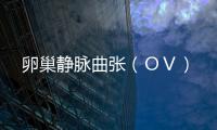 卵巢靜脈曲張（ＯＶ）