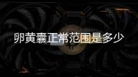 卵黃囊正常范圍是多少