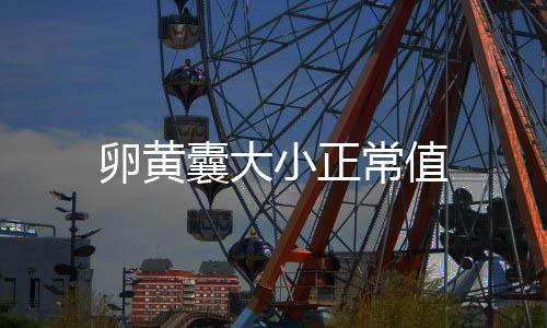 卵黃囊大小正常值