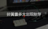 卵黃囊多大出現(xiàn)胎芽