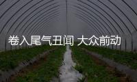 卷入尾氣丑聞 大眾前動力總成總監在德被捕