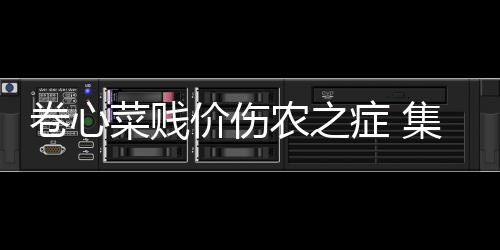 卷心菜賤價傷農之癥 集中經營是出路？