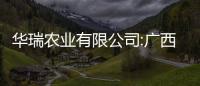 華瑞農業有限公司:廣西賀州華瑞農業