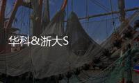 華科&浙大Science:新型衣服材料助力體感溫度最高降低4.8℃ – 材料牛