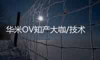 華米OV知產(chǎn)大咖/技術(shù)專(zhuān)家齊聚，共商專(zhuān)利池建設(shè)和運(yùn)營(yíng)