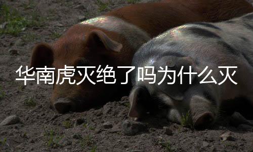 華南虎滅絕了嗎為什么滅絕（華南虎滅絕了嗎）