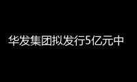 華發(fā)集團(tuán)擬發(fā)行5億元中期票據(jù) 期限為5+5年