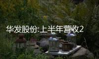 華發股份:上半年營收250.05億元,新增土地項目7個