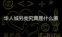 華人城另類究竟是什么原因?