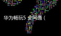 華為暢玩5 全網(wǎng)通 (CUN