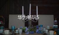華為暢玩5