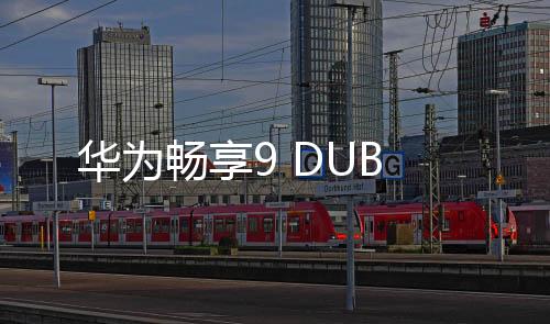 華為暢享9 DUB