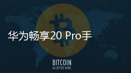華為暢享20 Pro手機密碼忘記怎么刷機？