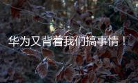 華為又背著我們搞事情！nova 2系列真要出亮銀版？【數(shù)碼&手機(jī)】風(fēng)尚中國(guó)網(wǎng)