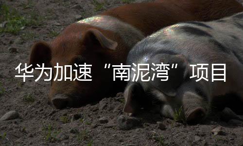 華為加速“南泥灣”項目： 核心器件完全去美化