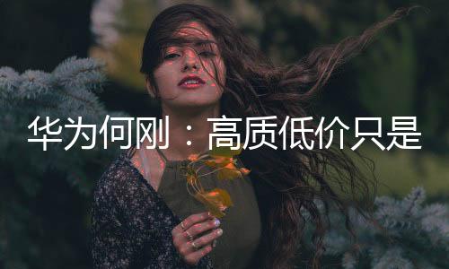 華為何剛：高質(zhì)低價(jià)只是營(yíng)銷(xiāo)炒作 產(chǎn)品才是核心